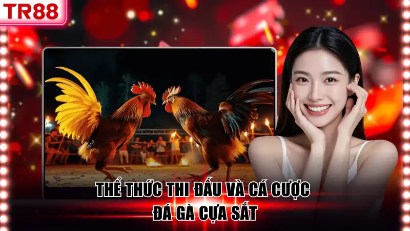 Thể thức thi đấu và cá cược đá gà cựa sắt